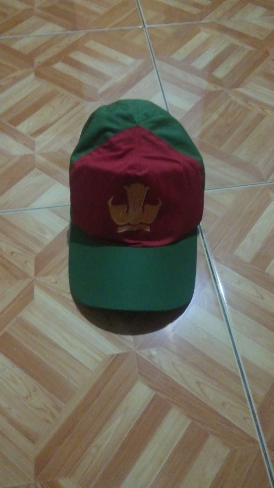 Topi